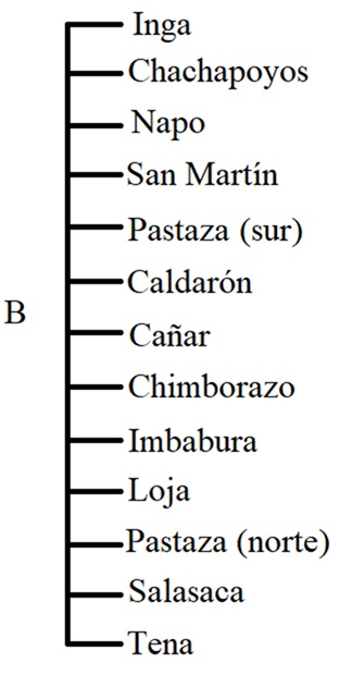 Ecuadorian Kichwa and others
